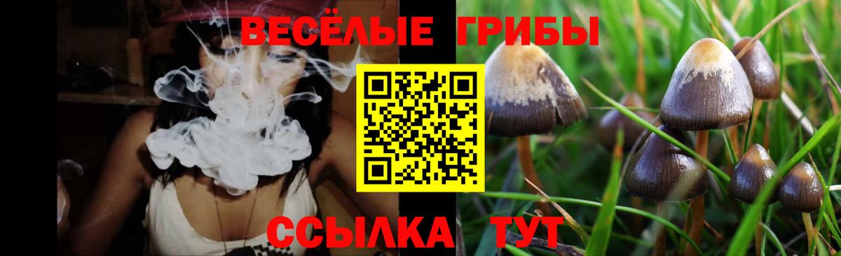Дедовск  даркнет сайт  Вход с VPN  Галлюциногенные грибы мухоморы  Псилоцибиновые грибы мухоморы 